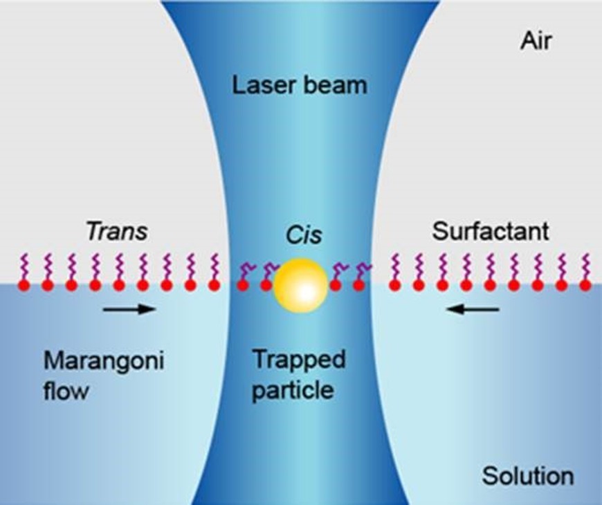 Marangoni Tweezers, Nano- and Microfluidics